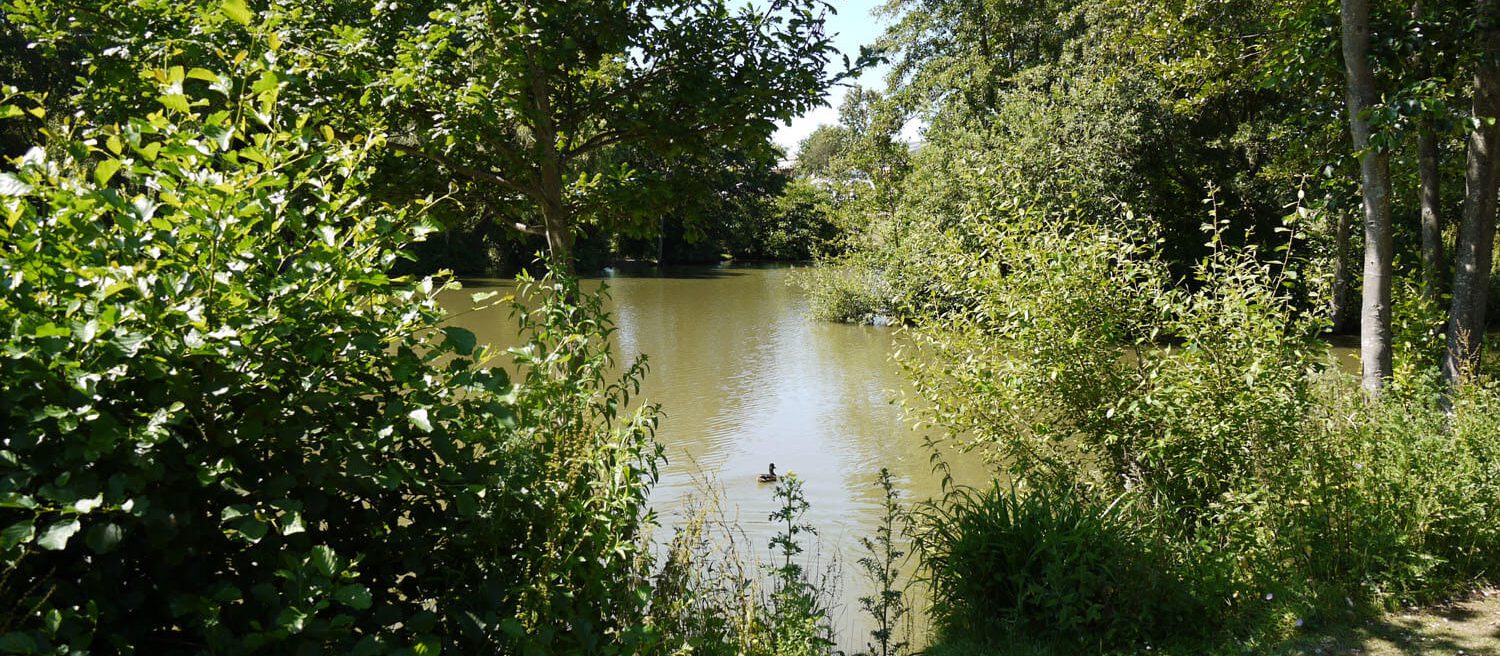 Fishing Holidays In Essex Homestead Lake Park, Weeley
